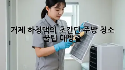 거제 하청댁의 ✨초간단 주방 청소✨ 꿀팁 대방출! 🧽