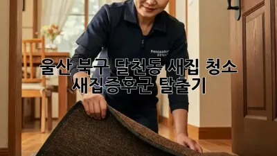 ✨ 울산 북구 달천동 새집 청소, 새집증후군 탈출기! 🏡 #